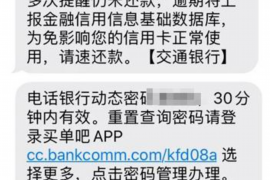 怒江为什么选择专业追讨公司来处理您的债务纠纷？